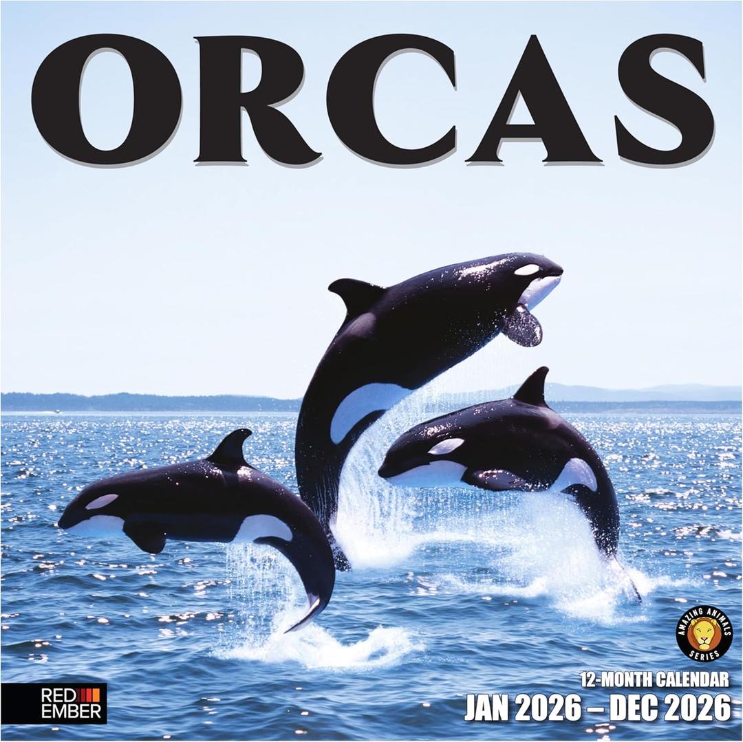 RED EMBER Orcas 2026 Wall Calendar 12 Month | 12" x 24" Open | Thick & Sturdy Paper | Holiday Gift | Animal Calendar 2026