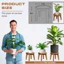 Demigo Indoor Plant Stand, Acacia Wooden Decorative Plant Shelf with Spill-Proof Tray, Stable 8 Tall Flower Holder for Heavy Pots, Gardening Display for Decor Living Room Patio - Natural Brown