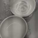 2 Pcs Raised Cat Slow Feeder Bowl Ceramic Elevated Cat Bowls, No Spill High Edge, Anti Vomiting for Pets Kitten Puppies Dry Wet Food and Water, Dishwasher Safe