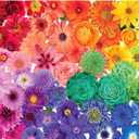 Jigsaw Puzzles for Adults 1000 Pieces, Rainbow Flowers Puzzle Game Large 1000 Pieces Artwork for Adults Teens Family - 27.6X 19.7IN (Flower)