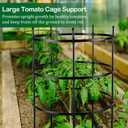 2 Set Titan Peony Plant Support Stakes Black Metal Peonies Cages 17.7" D x 35.4" H Tomato Cages Rings Sturdy Garden Plants Support Trellis for Climbing Plants