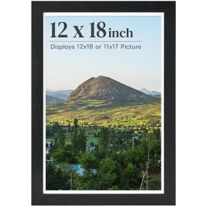 HOUSE DAY 1 Pack 12x18 Poster Frame, 12x18 Frame Black Picture Frames