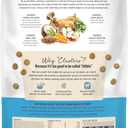 The Honest Kitchen Whole Food Clusters Grain Free Turkey Dry Dog Food, 20 lb Bag (EXP 11/19/26)