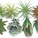 8 PCS Artificial Succulents Plants Lifelike Air Plants Floral Tree Arrangement Assorted Faux Greenery Artificial Plants Set Garden Home Office DIY Decoration Ornament