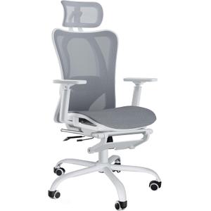 Ergonomic Office Chair, Adjustable Lumbar Support, 3D Headrest, Flip-Up Armrests, Retractable Footrest, High-Back Mesh Design, Comfortable Desk Chair for Home and Office, Gray (Grey)