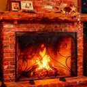 Fire Beauty Single Panel Fireplace Screen Handcrafted Solid Wrought Iron Mesh, Heat-Resistant Fire Spark Guard for Fireplace-Black