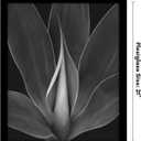Americanflat 17x21 Picture Frame with Polished Plexiglass - Black Picture Frame - Wide Photo Frames Made of Engineered Wood for Vertical or Horizontal Wall Display - Epic Collection - Black