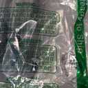 DAYSTART Plastic Wolf Claws with Dog Tags Pendant Fit for Wolverine Costume Cosplay Props