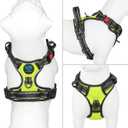 PHOEPET No Pull Dog Harnesses for Small Dogs Reflective Adjustable Front Clip Vest with Handle 2 Metal Rings 3 Buckles [Easy to Put on & Take Off](S, Green)