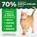 Greenies Cat Treats, Feline Veterinarian-Recommended Adult Natural Dental Cat Treats, Oven Roasted Chicken Flavor, 21 oz. Tub (EXP 04/01/27)
