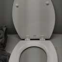 Bemis 1500EC 390 Lift-Off Wood Elongated Toilet Seat, Cotton White (Pack of 1)