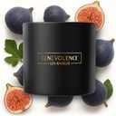 Benevolence LA 3 Wick Candle, Fig Tree Large Scented Candle | Soy Candles | Gifts for Women and Men | Home Fragrance | Aromatherapy | Bathroom Freshener 14.5 Oz, 45 Hour Burn