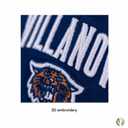Desert Cactus Villanova University Baseball Hat VU Wildcats Brimmed Embroidered Hats Cap Adjustable Cloth Strap Adult (Style D1) Blue
