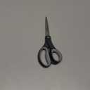 Fiskars 01-005409 8 Inch Softgrip Titanium Scissors, Single (Gray)