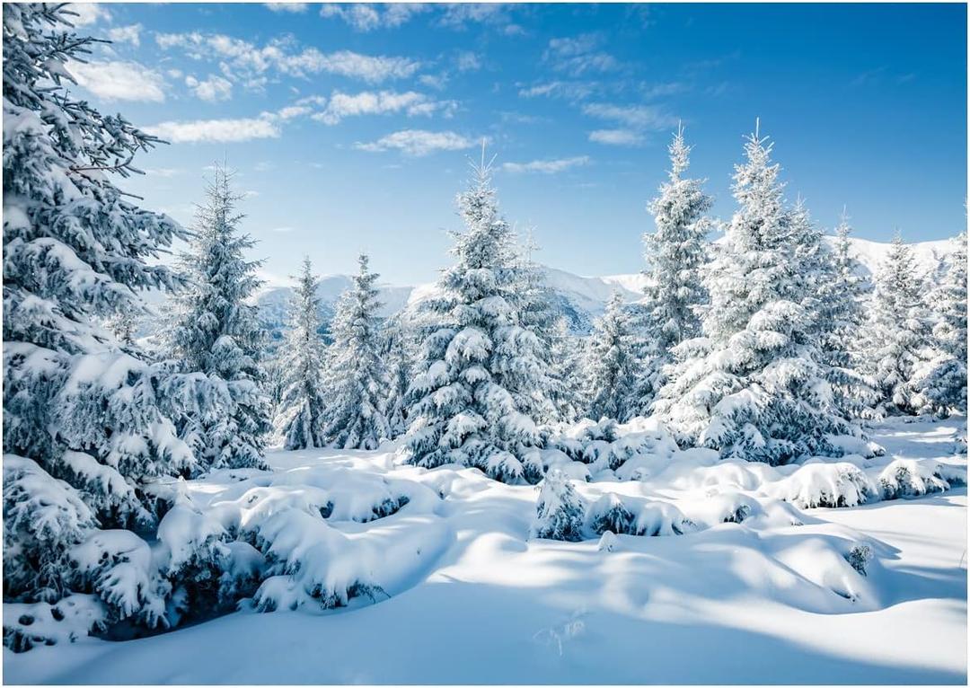 10X8FT Snow Fir Forest Backdrop Christmas Photography Studio Backdrops Winter Snow Background Xmas Decorative Banner DH-147