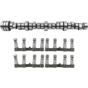 MDS Lifters Camshaft Kit Replacement for 2009-2018 Ram 1500 5.7L Hemi 53022263AF 53022263AE 53021726AD 53021726AE 5038785AD 5038684AA 68060714AA