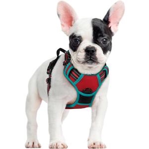 rabbitgoo Dog Harness No Pull with 2 Leash Clips, Adjustable Soft Padded, Reflective Oxford No Choke Pet Vest with Easy Control Handle for Small Dogs, Red & Teal, S