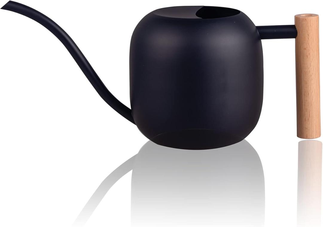 IMEEA Watering Can for Indoor Plants 40oz Stainless Steel Watering Can with Long Spout and Wooden Handle (Black)