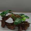 Fish Tank Decorations Artifical Driftwood Cave Aquarium Decor Ornaments Silk Aquarium Plants for Betta Fish Tank Accessories