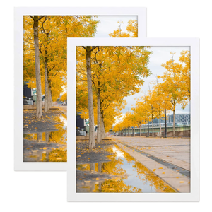 Golden State Art 16x20 White Picture Frame,Solid Wood&Real Glass,Fit 16x20