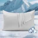 Elegear Silver Infused Cooling Pillow Cases for Hot Sleepers, Clean Fabric Cooling Pillowcase Q-Max>0.5, Soft Silky Pillowcases for Hair & Skin, Summer Zipper Pillowcase Cover Set of 2-Standard, Gray