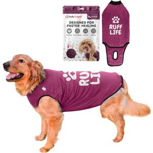 BellyGuard Recovery Suit for Dogs, Comfy Dog Surgery Suit, Female Spay and Male Neuter Onesie for Post-Op Care (X-Large, Maroon)