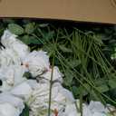 Riceshoot 500 Pcs Artificial Silk Roses Flowers with Long Stem Bridal Wedding Bouquet Realistic Floral Bulks for Garden Home Party Gifts Favor Decoration(White)