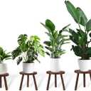 4-Pack Wood Plant Stands Indoor Outdoor, Heavy Duty 6-12 Inch Flower Pot Holder Stand, Natural Camphor Pine Wood Modern Large Plant Stool for Multiple Potted Plants, Home Office Garden & Bar Decor