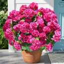 Fake Geraniums Artificial Flowers for Outdoors Outside, 6 Bundles Fuchsia Silk Geraniums Fake Flowers Plants Realistic UV Resistant Faux Flowers for Outdoor Planters Garden Balcony Yard Porch Indoor