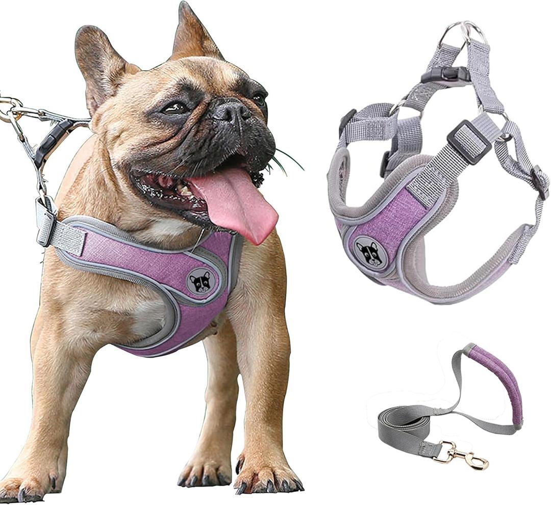 Medium Dog Harness and Leash Set,No Pull Adjustable Step in Soft Mesh Vest Harness,Easy Walk Reflective Pet Harness with Padded Handle for Walking Training Small Medium Large Dogs and Cats (Purple, M)