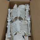 JOYIN 2PCS 36" Halloween Skeleton Decor, 3FT Full Body Stayable Movable Joints, Posable Hanging Skeletons for Halloween Decoration, Yard, Graveyard, Haunted House Props, Spooky Scene Party Favor (Yellow)