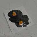 Women's Hawaiian Flower Hair Clips Plumeria Hibiscus Hair Clips 3.5 Inch Artificial Flower Hair Barrettes Hair Accessories for Vacation Beach Party (Black)