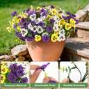 2 x INQCMY Artificial Fake Pansy Flowers for Outdoor, 12 Pcs Faux Silk Pansies Spring Summer Flowers for Outside for Planter Pot Porch Yard Patio Front Door Window Box Home Decor