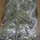 196" Christmas Cedar Garland Realistic- Soft and Full Real Touch, 16.5ft Artificial Faux Greenery Garland for Table, Fireplace Mantle, Stair Railings, Outdoor