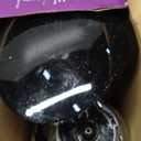 Mr. Coffee Black Coffee Maker, 12 Cups, with Auto Pause and Glass Carafe, Perfect for Home and Office Use