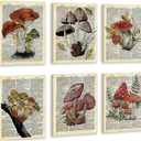 CHDITB Mushroom Wall Art, Mushrooms Dictionary Framed Canvas Wall Art Set, Nature Mushroom Wall Decor, Vintage Fungus Wall Painting, Retro Aesthetic Art Prints For Living Room Bedroom Decor(8X10 Inch) (Beige)