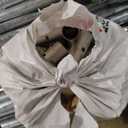 YITAHOME 7.5'x7.5' Outdoor Dog Kennel with Metal Dog Gate, Outdoor Dog Pens with Roof, Heavy Duty Dog Kennel for Backyard Farm Use