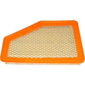 ACDelco GM Original Equipment A3211C (23437180) Air Filter
