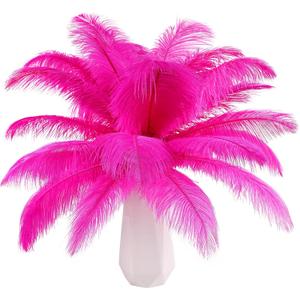 THARAHT Hot Pink Ostrich Feathers 24pcs Natural Bulk 8-10Inch 20cm-25cm for Crafts Wedding Party Centerpieces Easter Gatsbi and Home Decoration Feathers (Fuchsia)