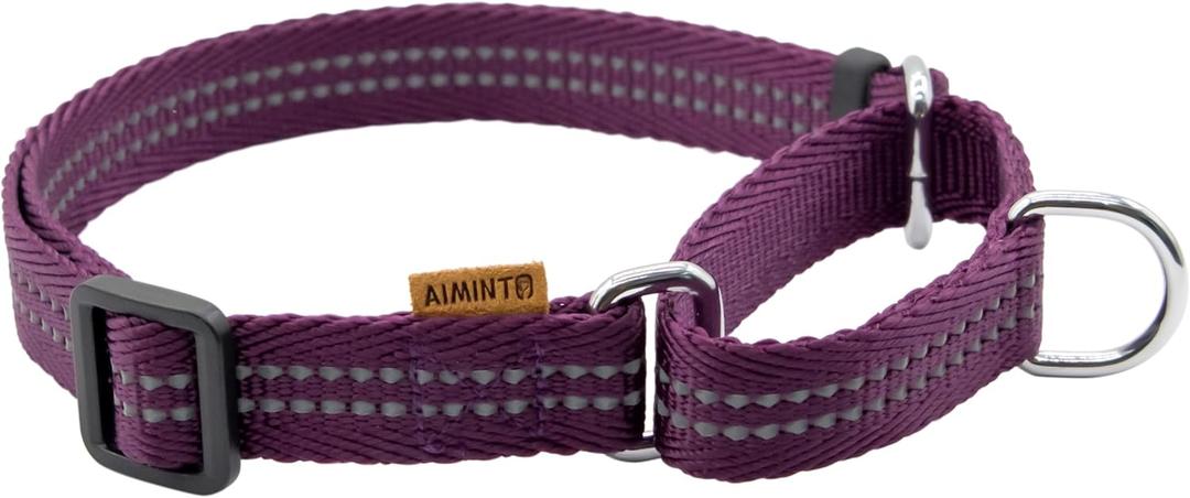 Adjustable Nylon Reflective Martingale Dog Collar for Training and Walking (Purple, XS (Neck: 10"-14", Width: 3/8"))