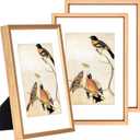 3.5x5 Picture Frame Set of 3, Gold Metal Photo Frames with HD Glass, Fits 2.5x3.5 with Mat or 3.5x5 without Mat, Wall Hanging and Table Display