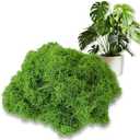 Artificial Faux Moss, 1.76 oz Fake Green Moss for Crafts Preserved, Artificial Moss for DIY Scenery, Fake Moss Decor Decorative Table, Centerpieces Decor, Fairy Garden, Floral Wedding (50g)