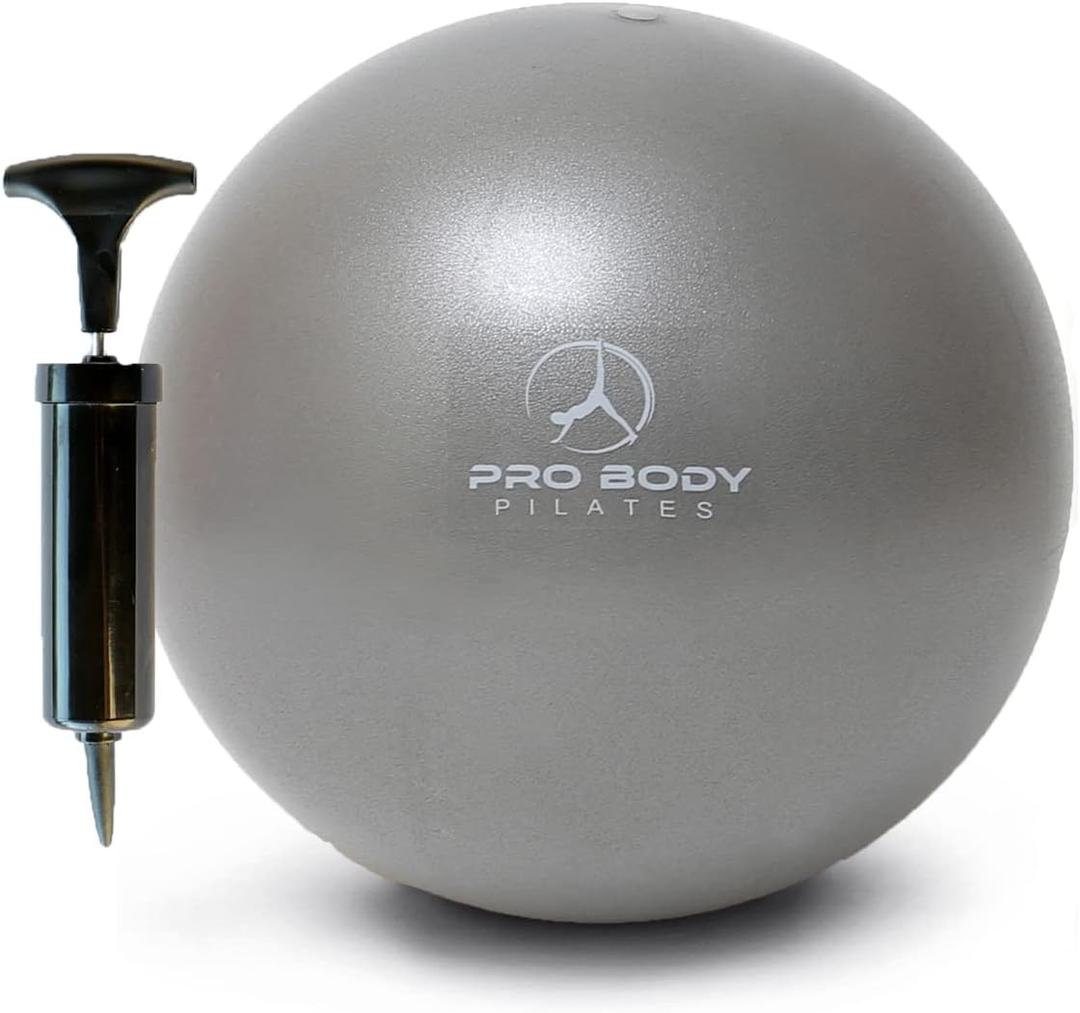 ProBody Pilates Small Exercise Ball with Pump - 9 Inch Workout Ball for Stability, Barre, Yoga, Core & Physical Therapy (Silver)