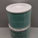 PETOX Core 300 Toxin Absorber Replacement Filter for LEVOIT Core 300 Core 300P Core 300S Core 300SP Vortex Air Air Purifier, 3in1 HighEfficiency Activated Carbon, Core 300RFTX, 2 Pack, Green