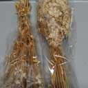 Dried Babys Breath Bulk Natural Dried Gypsophila Flowers White Babys Breath Stems for Home Decor, Weddings, Crafts
