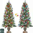 2Pack 4FT Outdoor Snowy Christmas Entrance Tree in Pot Base with 8 Modes Timer 60 Warm White & Colorful Change Light Battery Operated 15 Pine Cone 105 Red Berries Porch Front Door Decor