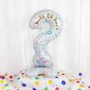 Gender Reveal Party Balloon Set, Question Mark Design, Pink and Blue Foil Balloons, He or She Theme, Baby Shower Decorations