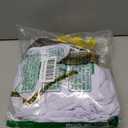 Morph Greek Goddess Costume Women - Womens Toga Costume, Greek Toga Costumes Womens, Goddess Halloween Costumes for Women (X-Large)