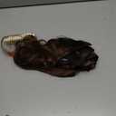NAYOO Clip in Hair Extensions for Women 14 Inch Short Wavy Curly Dark Brown Mix Chestnut Hairpieces Full Head Synthetic Hair Hairpieces (6PCS, Dark Brown Mix Chestnut)