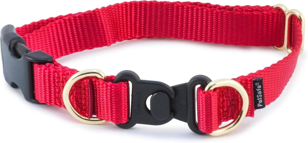 PetSafe KeepSafe Collar for Dogs - Protects Against Collar Accidents - Long Lasting - Durable - Adjustable - Breakaway - Outdoor-Safe - Medium - 3/4 In. Wide - Red